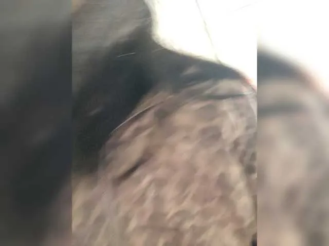 BongaCams Adelina-Libby is Freechat Adelina-Libby — The dream of going to the sea @remain